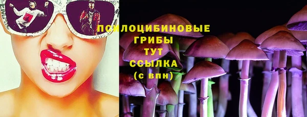 PSILOCYBIN Беломорск